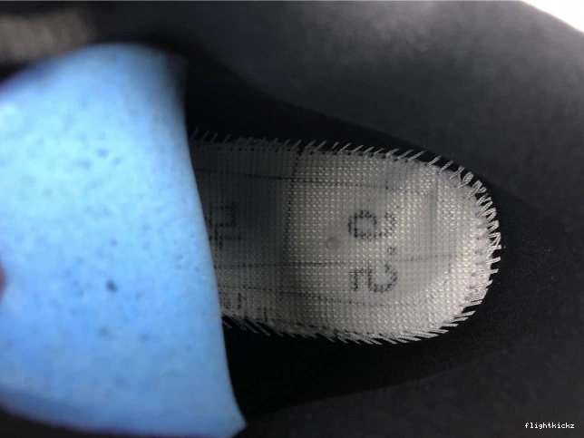 Purple Jordan Air Court DJ5982-015 13 1112